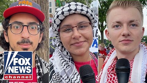 Anti-Israel protesters reveal their hopes for Gaza, feelings toward Kamala Harris