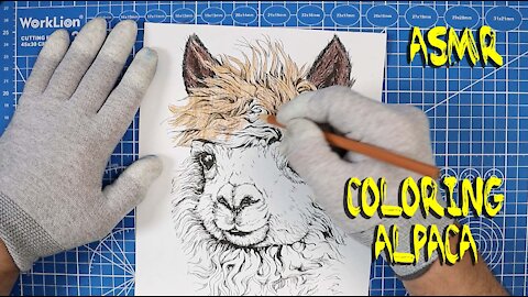 Coloring an Alpaca - No Talking ASMR