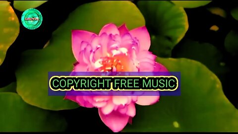 Saxophone Indian instrumental background music copyright free for content creators.