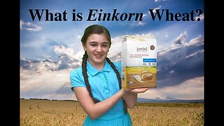 The Only Truly Ancient Wheat Einkorn