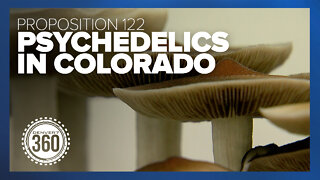 Proposition 122: Colorado voters to decide on allowing healing centers that use psychedelics in the state