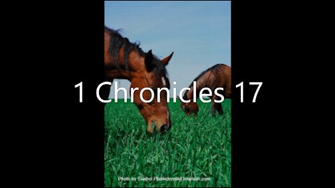 1 Chronicles 17 | KJV | Click Links In Video Details To Proceed to The Next Chapter/Book