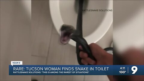 Tucson woman finds snake in toilet