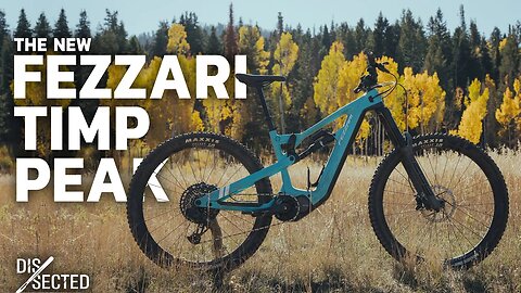 Fezzari Timp Peak: New Enduro #eMTB Dissected #mtb #loamwolf