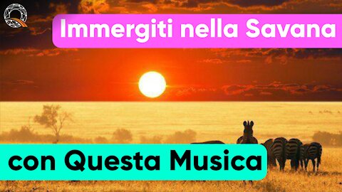 🦓 Immergiti nella Savana con questa Musica