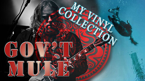 My Collection: Gov't Mule Vinyl Records | Vinyl Community
