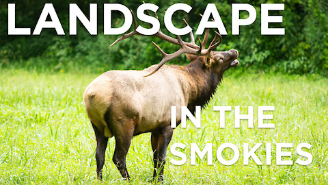 A Landscape Photography Trip to Great Smoky Mountain National Park in the Dodge Van Build. Join Me!