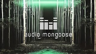 Techno / Hypnotic - Mongoose @ 'Twilight Grove'