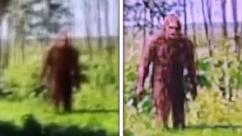 Top 10 Bigfoot Sightings Caught On Google Earth