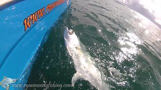 Fishing videos 2015