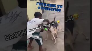 Nigerian funny video