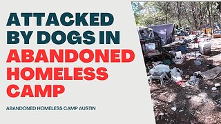 Attacked By Dogs in an Abandoned Homeless Camp