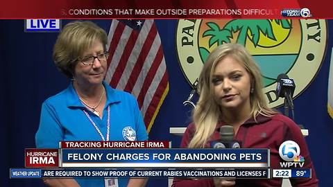 More pets abandoned overnight in Palm Beach County