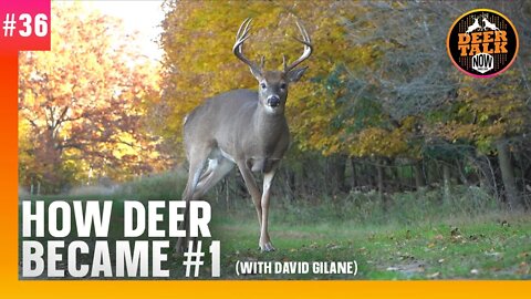 #36: HOW DEER BECAME #1 with David Gilane | Deer Talk Now Podcast