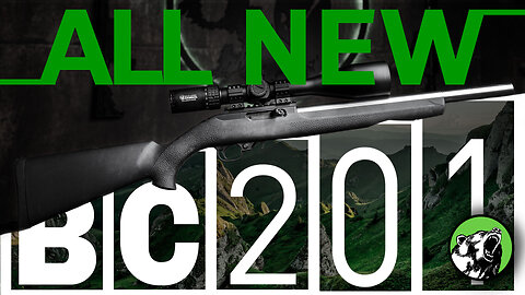 ALL NEW | BC-201 22 LR Rifle