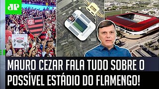 "Essa ideia do ESTÁDIO DO FLAMENGO eu vejo como um..." Mauro Cezar FALA TUDO!