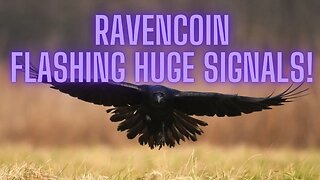 RAVENCOIN MASSIVE BULLISH SIGNALS 2/14/23