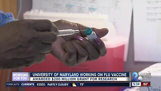 University of Maryland awarded grant for flu vaccine research