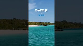 The colours of Zanzibar 🇹🇿🌴🌊🐠💙