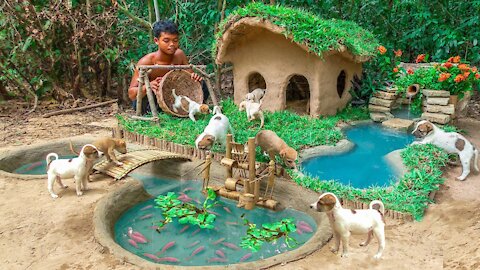 Rescue Abandoned Puppies Building Mud House Dog And Fish Pond For Red Fish