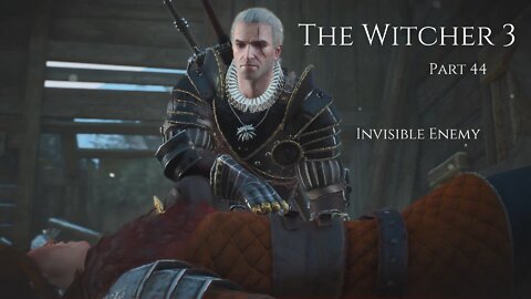 The Witcher 3 Wild Hunt Part 44 - Invisible Enemy