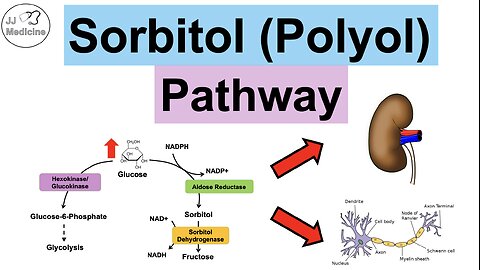 Sorbitol (Polyol) Pathway | Sugar Alcohols, Enzymes, Purpose, Diabetes & Health Problems