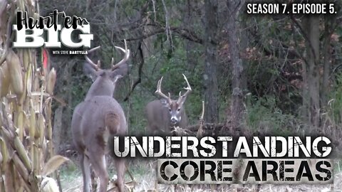 Buck Bedding Areas: Why They Shift