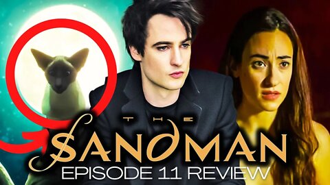 Sandman BONUS! | Episode 11 Complete Breakdown!