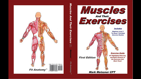 Introducing New Book "Muscles and Their Exercises"