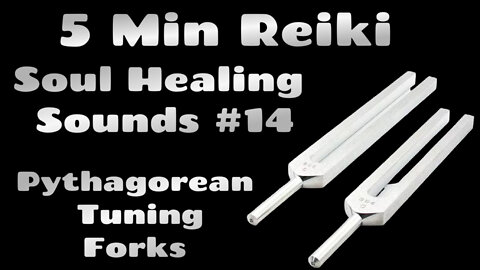 KK Reiki l Align Nervous System + Synchronize Brain l 5 Min Session l Healing Hands Series