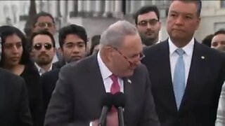 Chuck Schumer calls for amnesty for all 11 million or more illegal immigrants in the US