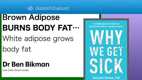 BIKMAN1 Brown Adipose BURNS BODY FAT…White adipose stores body fat