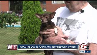 Beech grove dog found and reunited with owner