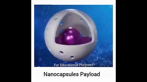 NANOCAPSULES PAYLOAD