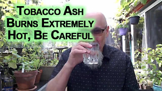 Cigar Tobacco Ash Burns Extremely Hot, Be Careful, Don’t Burn Yourself [ASMR]