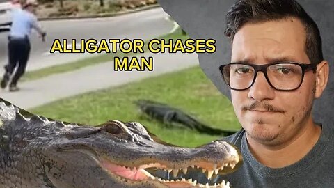 Alligator Chases Man while Fishing, Multiple Alligators are then Killed