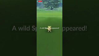 Shiny Spearow