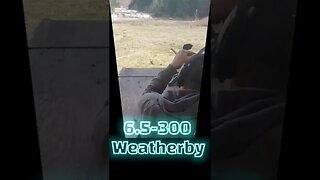 6.5 - 300 Weatherby Long Shot Rifle