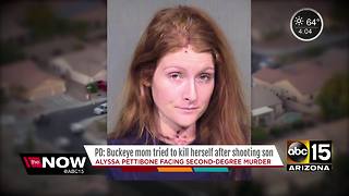 Buckeye mother admits to shooting and killing son, tried to kill self