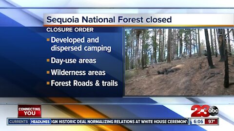 Sequoia National Forest closed due to conditions