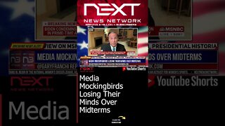 Media Mockingbirds Losing Their Minds Over Midterms #shorts