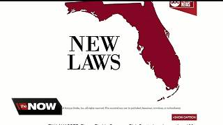 New Florida laws go into effect on Sunday