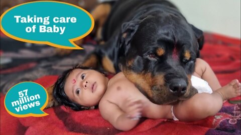 Jerry and Aaru are made for each other | Dog protecting baby | the rott best Video