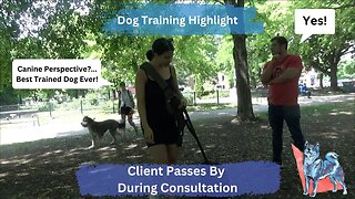 Best Trained Dog Ever! Previous Client Passes By During Consultation