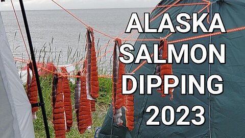 #13 SALMON DIPPING ALASKA 7-7-2023 | #travel #travelvlog #nature