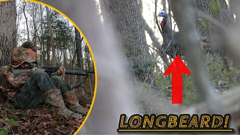 2024 TURKEY SEASON - DAY ONE (CALLING IN GOBBLING VIRGINIA TURKEYS!)