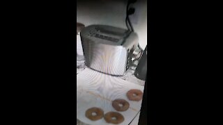 Making homemade doughnuts
