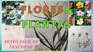 Como Desenhar Flores e Plantas Ornamentais Parte 2 - Dicas Especiais!