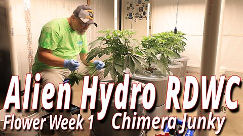 Alien RDWC In Flower Week 1: Spider Farmer SE7000 Full Garden Update