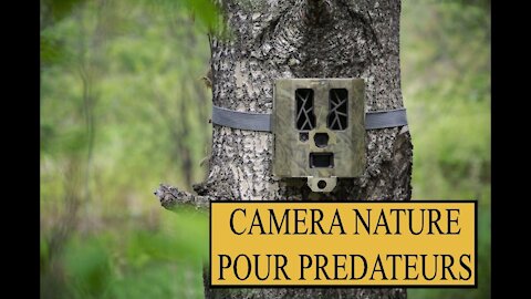 Test de prédateurs avec caméra nature, caméra de chasse, piège photographique